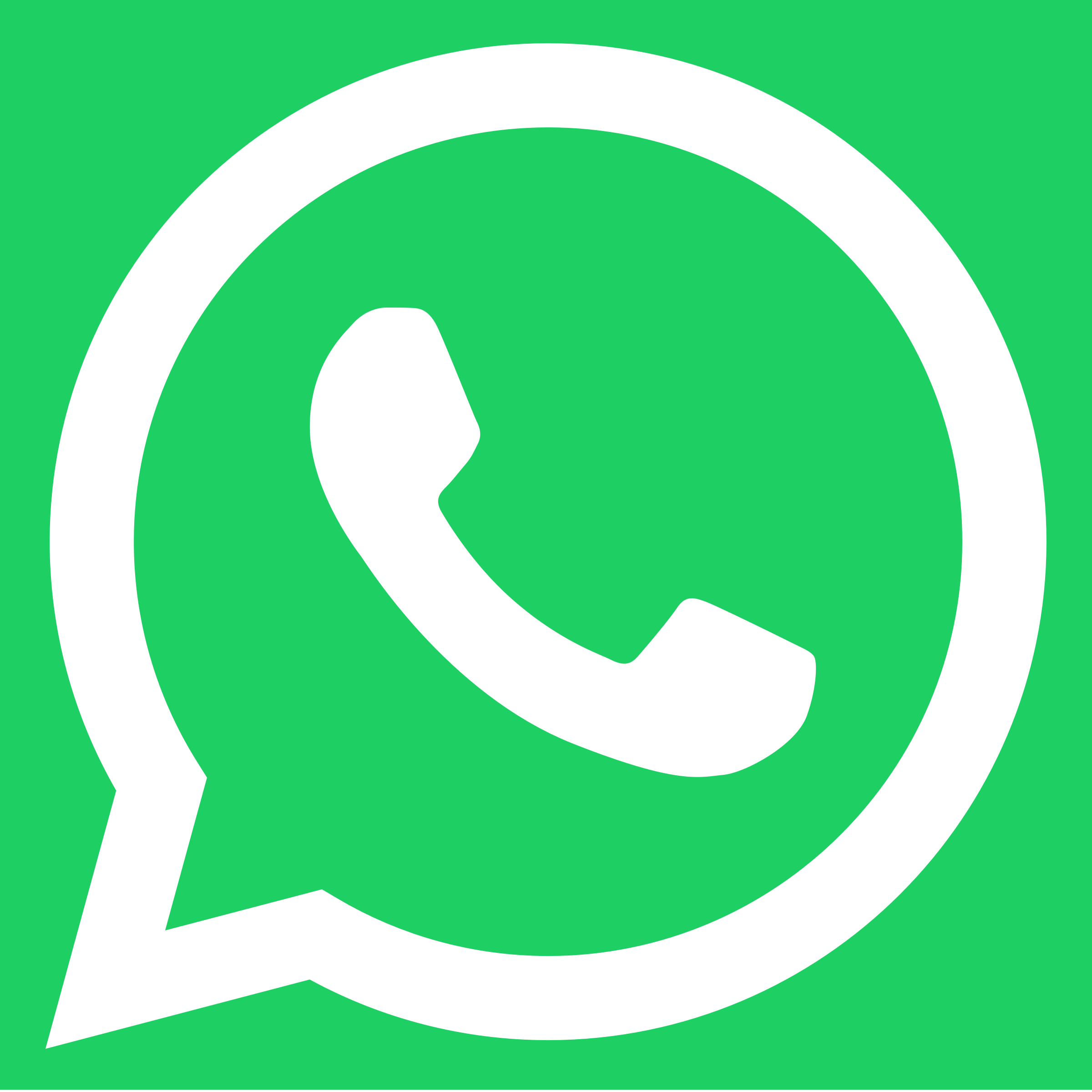 Chat on WhatsApp